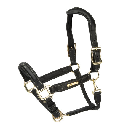 Cabezada de cuero Comfort Shires Velociti Rapida