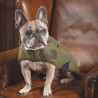 Abrigo para perro de tweed Shires Digby & Fox - Cuadros rojo / amarillo / azul