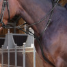 Martingala con anillos Elite Shires Velociti Lusso - Negro