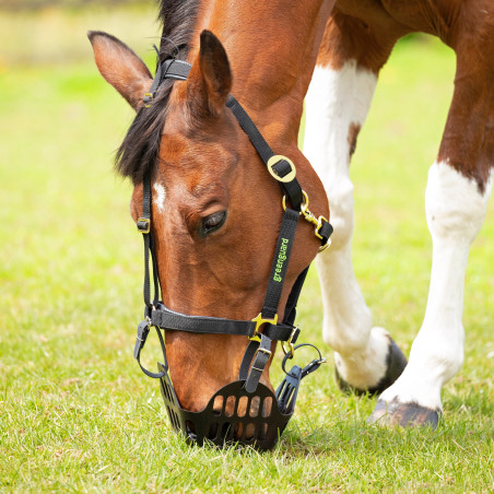 Cesta de pastoreo Shires Greenguard