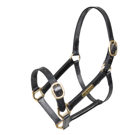 Cabezada de cuero totalmente ajustable Shires Velociti Gara