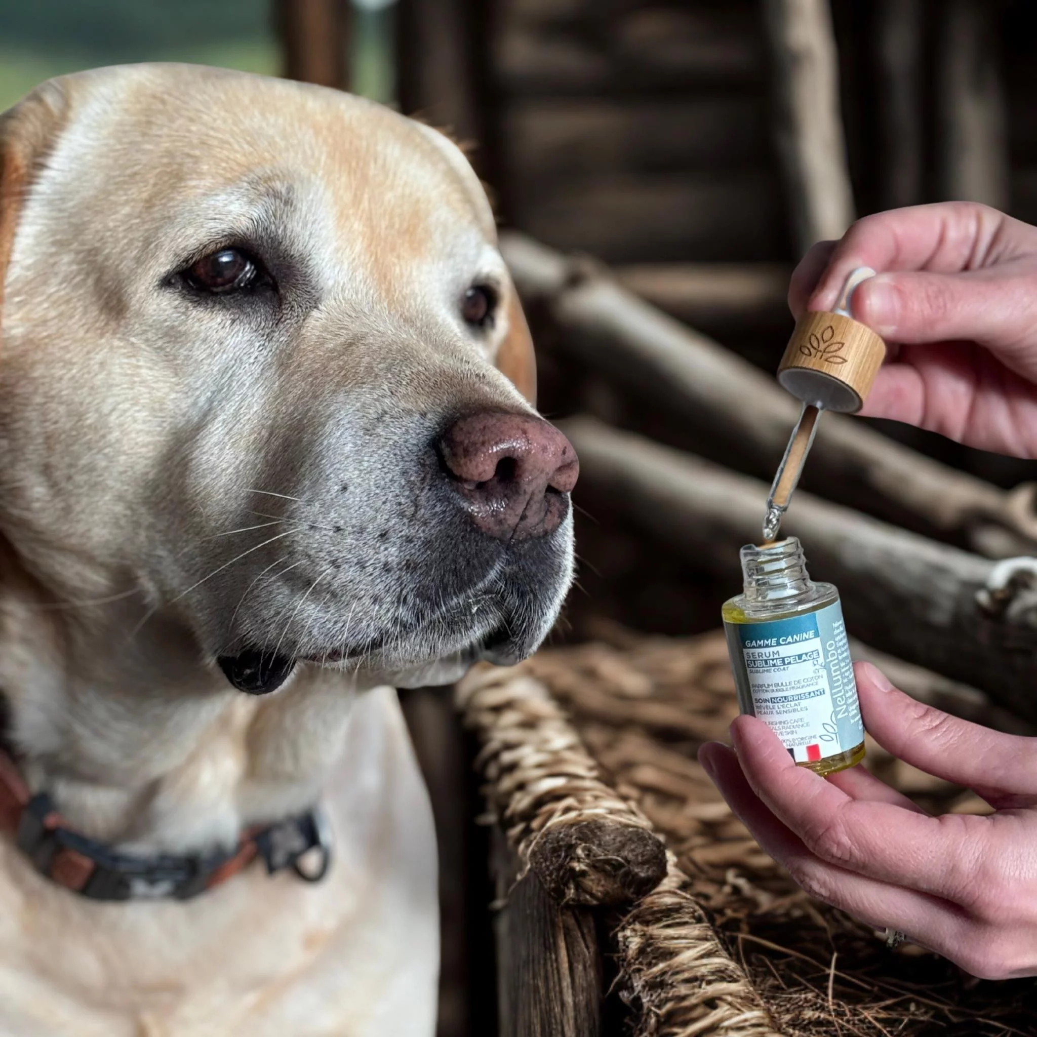 Suero Sublime Pelaje Burbuja de Algodón Nellumbo perros y gatos