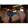 Amortiguador Riding World - Verde