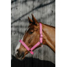 Cabestro Norton Extra - Rosa