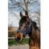 Cabestro Norton Dream - Azul real