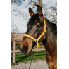Cabestro Norton Dream - Amarillo