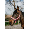 Cabestro Norton Dream - Rosa