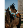 Cabezada Norton Comfy - Azul