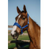 Cabezada Equithème Breeze - Azul real