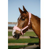 Cabezada Equithème Breeze - Rosa