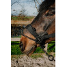 Cabezada Equithème Control - Negro
