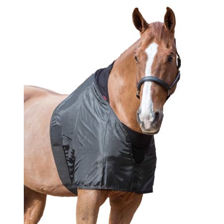 Protección de espaldas LeMieux