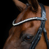 Frontal Imperial Riding Maxima - Grafito