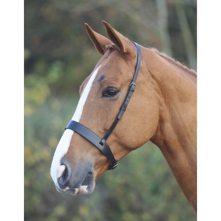 Cabezón Hunter Shires Velociti Gara