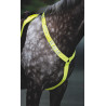 Collar de pecho Shires Equi-Flector® - Amarillo