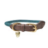 Collar de cuerda fina Shires Digby & Fox - Verde