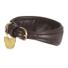 Collar acolchado para lebrel Shires Digby & Fox - Castaño