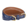 Collar acolchado para lebrel Shires Digby & Fox - Marino