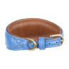 Collar acolchado para lebrel Shires Digby & Fox - Real