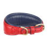 Collar acolchado para lebrel Shires Digby & Fox - Escarlata