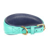 Collar acolchado para lebrel Shires Digby & Fox - Teal