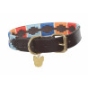 Collar para perro Drover Polo Shires Digby & Fox - Turquesa / rojo / naranja / azul