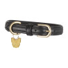 Collar para perro de cuero acolchado Shires Digby & Fox - Negro