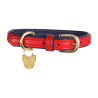 Collar para perro de cuero acolchado Shires Digby & Fox - Escarlata