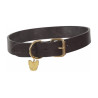 Collar para perro de cuero plano Shires Digby & Fox - Castaño