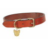 Collar para perro de cuero plano Shires Digby & Fox - Gato montés