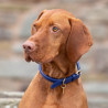 Collar redondo de cuero para perro Shires Digby & Fox - Real