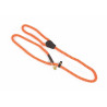 Correa tipo lazo para perro de cuerda Shires Digby & Fox - Naranja