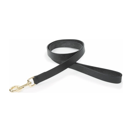 Correa para perro de cuero plano Shires Digby & Fox