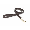 Correa para perro de cuero plano Shires Digby & Fox - Castaño