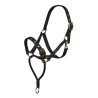 Cabezada de control Shires Arma - Negro