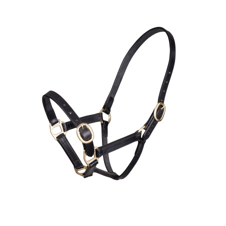 Cabezada de cuero ajustable Shires Velociti Gara