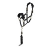 Cabezal y ramal polar Shires Arma - Negro