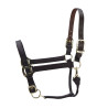 Cabezada FieldSafe ajustable Premium Shires Arma - Púrpura