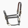 Cabezada FieldSafe ajustable Premium Shires Arma - Gris
