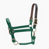 Cabezada FieldSafe ajustable Premium Shires Arma - Teal