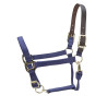 Cabezada FieldSafe ajustable Premium Shires Arma - Púrpura