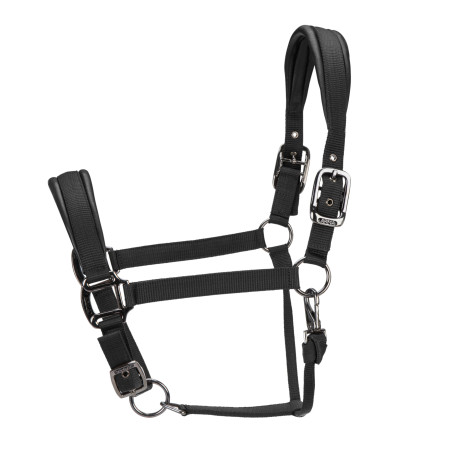 Cabezada acolchada Pro Shires Arma