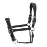 Cabezada acolchada Pro Shires Arma - Azul