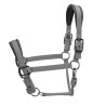 Cabezada acolchada Pro Shires Arma - Gris