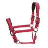 Cabezada acolchada Pro Shires Arma - Roja