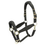 Cabezada acolchada Shires Arma - Negro