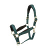 Cabezada acolchada Shires Arma - Verde