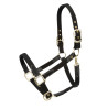 Cabezada Porto Shires Arma - Negro
