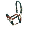 Cabezada Porto Shires Arma - Verde