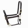 Cabezada ajustable Premium Shires Arma - Negro